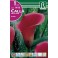 Callas