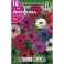 Anemonas y ranunculos